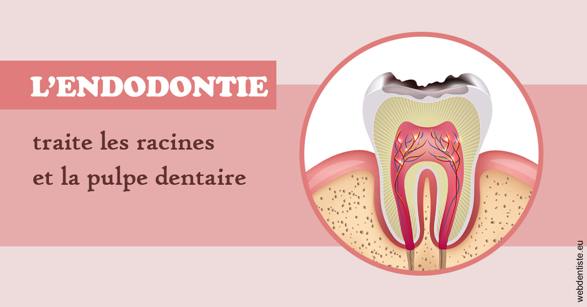 https://dr-laupie-julien.chirurgiens-dentistes.fr/L'endodontie 2