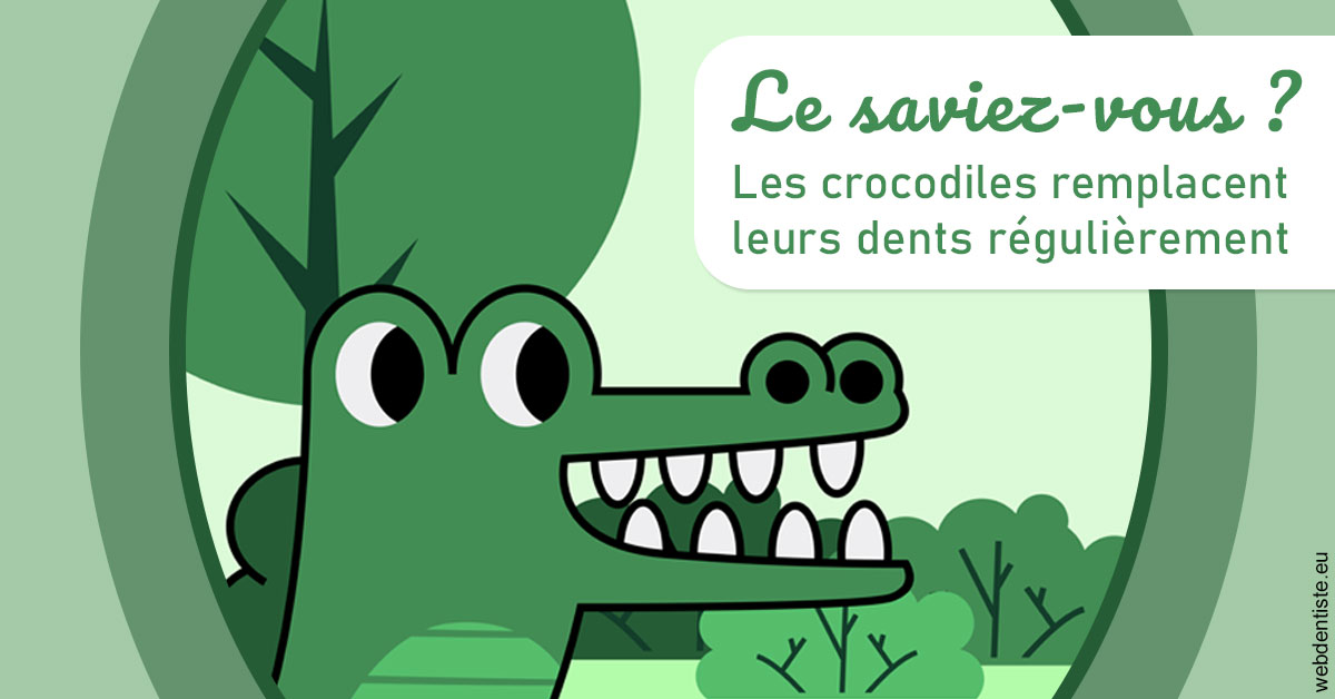 https://dr-laupie-julien.chirurgiens-dentistes.fr/Crocodiles 2